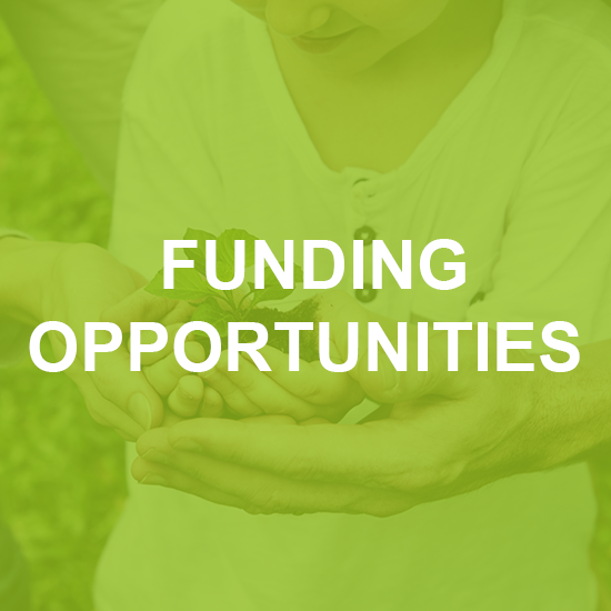 Funding Opportunities