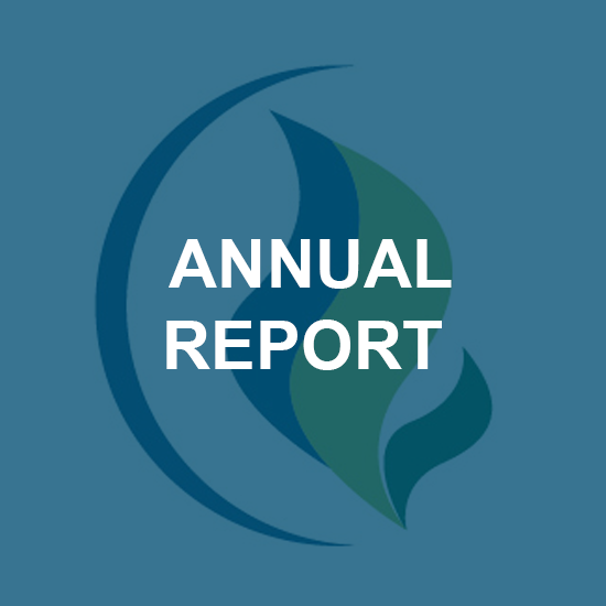 Annual report